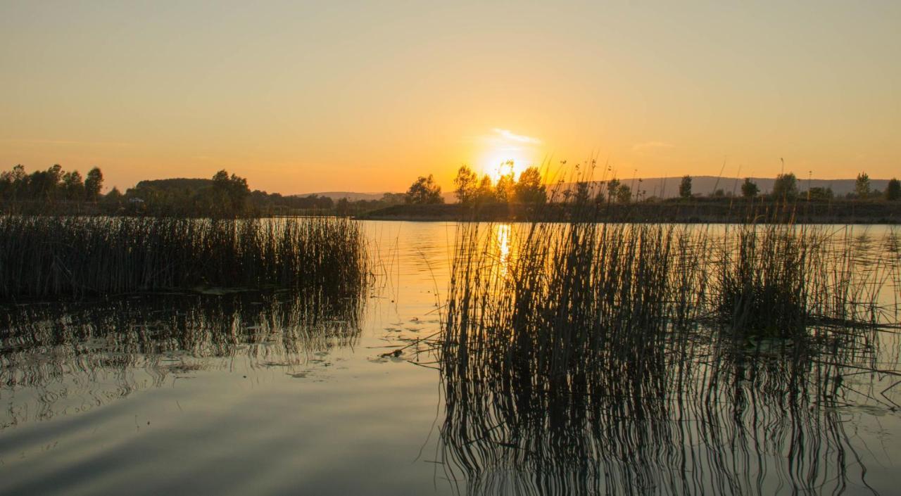 Camping Aux Rives Du Soleil Понт-де-Во Екстериор снимка